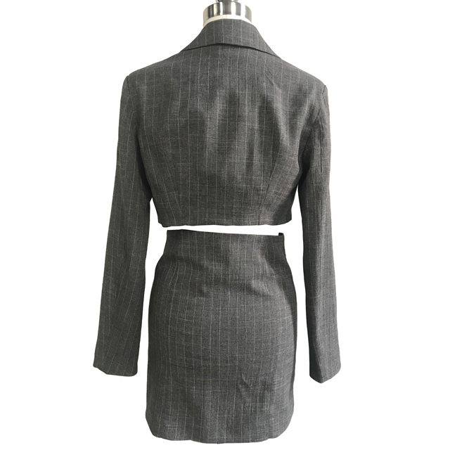 Grey Color /Ladies Office Dress /Two Piece/ Suit Top and /Straight Pencil /Formal Dresses /Woman Business Suits